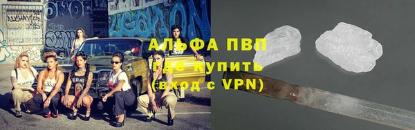 бошки Новодвинск