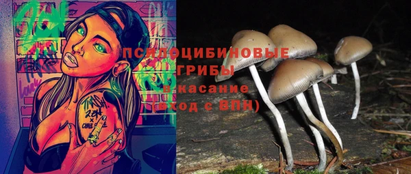марки nbome Новозыбков