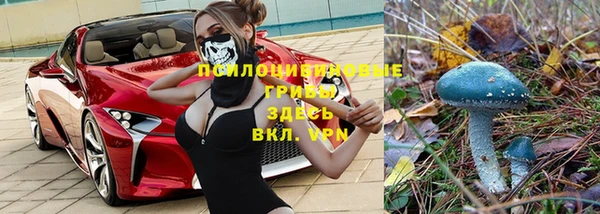 герыч Нягань