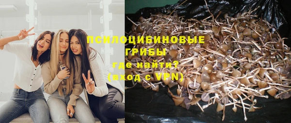 каннабис Новокубанск