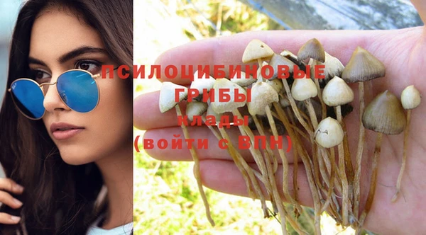 бошки Новодвинск