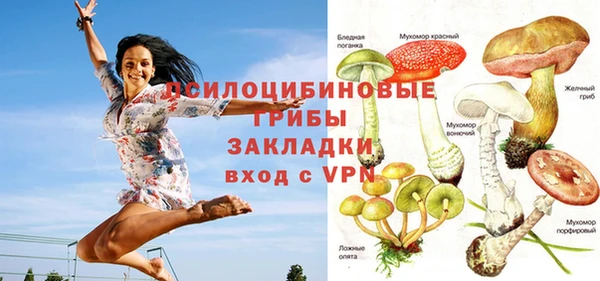 марки nbome Новозыбков
