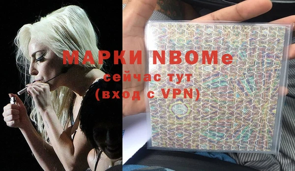 бошки Новодвинск
