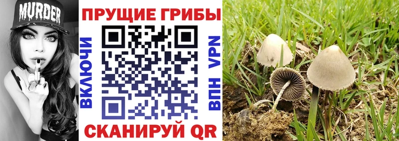 Галлюциногенные грибы ЛСД Медынь